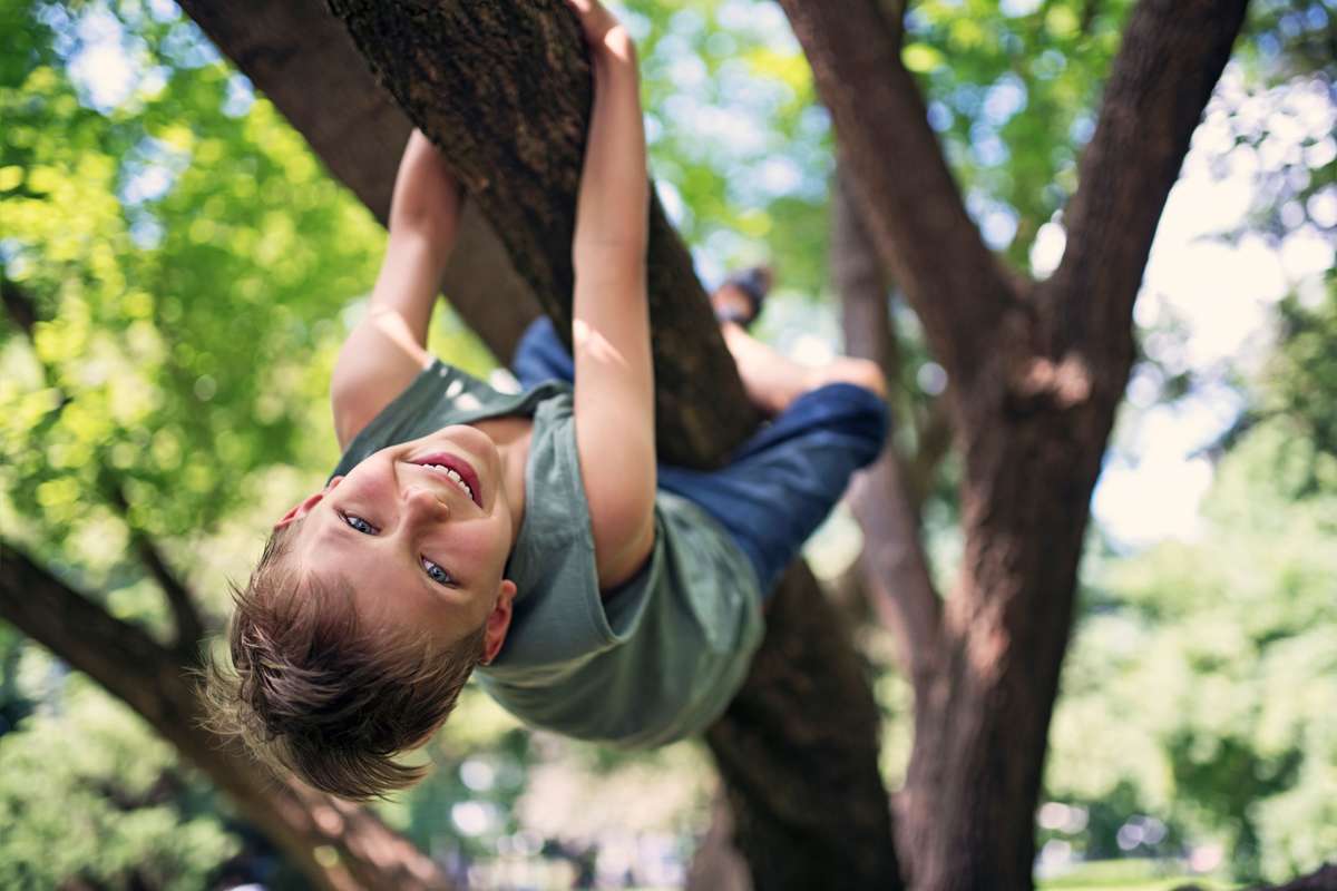 Children Climbing Trees