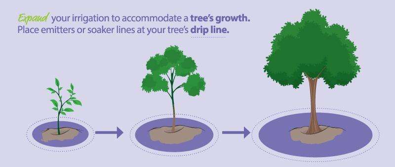 Irrigation Diagram for Watering Trees