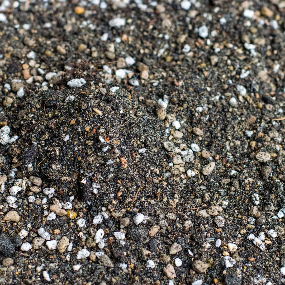 Lava Rock in Soil