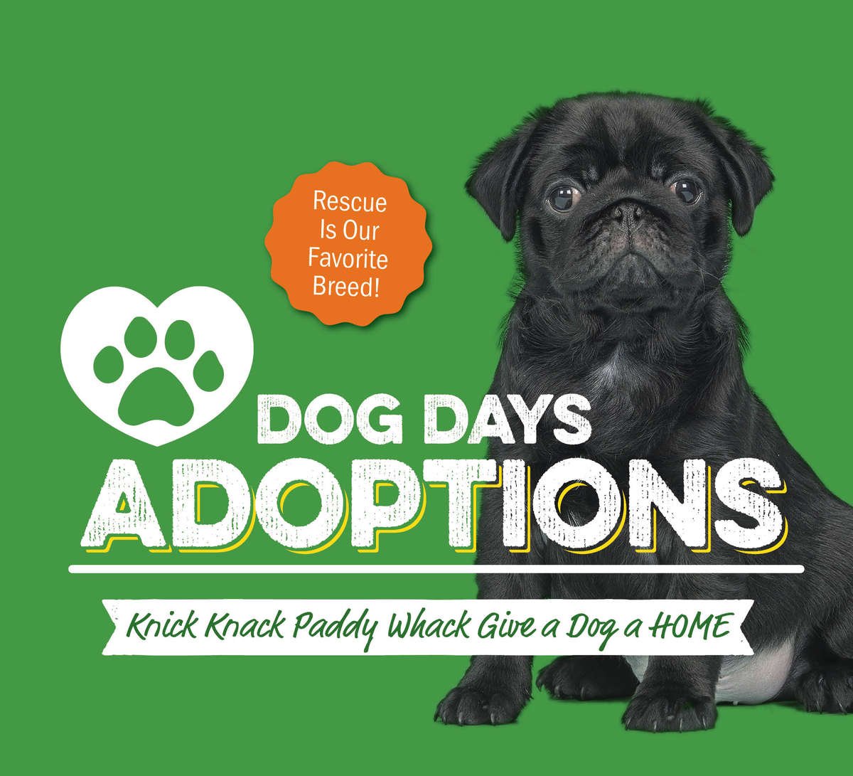 Dog Days Adoptions Image of Puppy