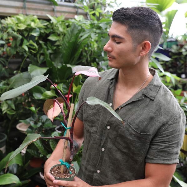 Customer Holding a Houseplant