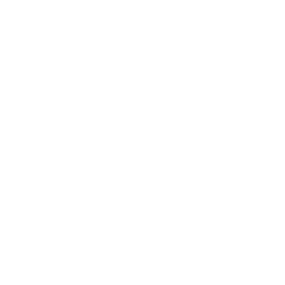Brain Forza KSM-66 Organic Ashwagandha Root Extract brain memory