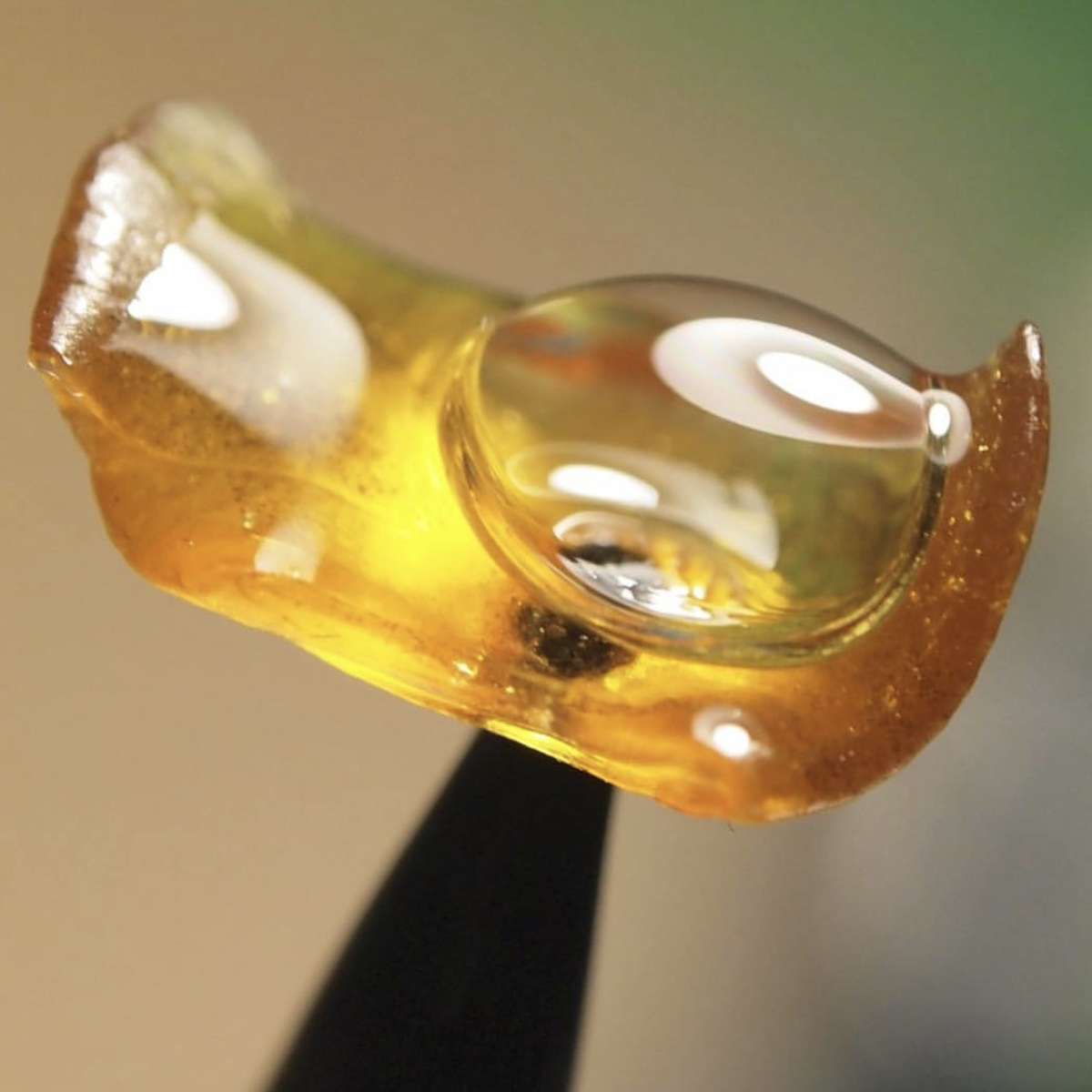 Shatter with Terps Shatter with Terps