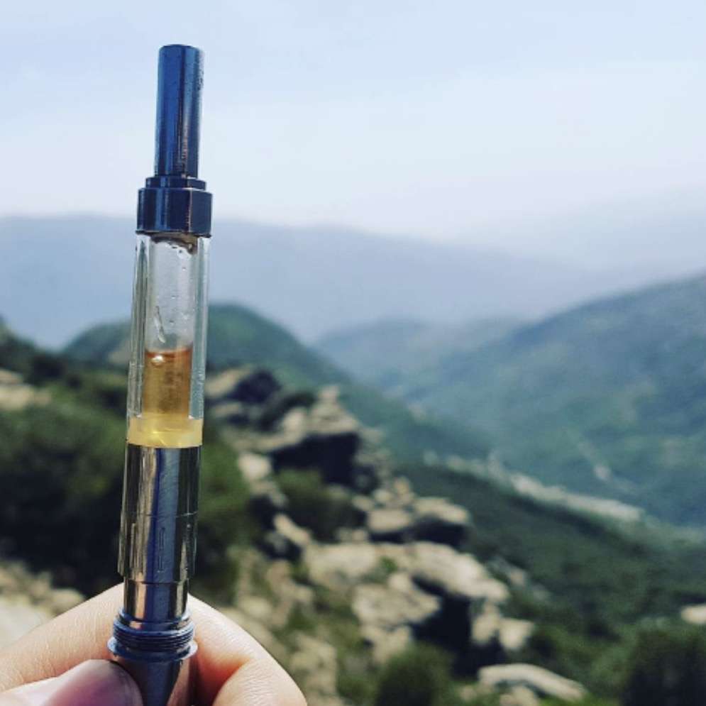 Vape and Terps Vape and Terps
