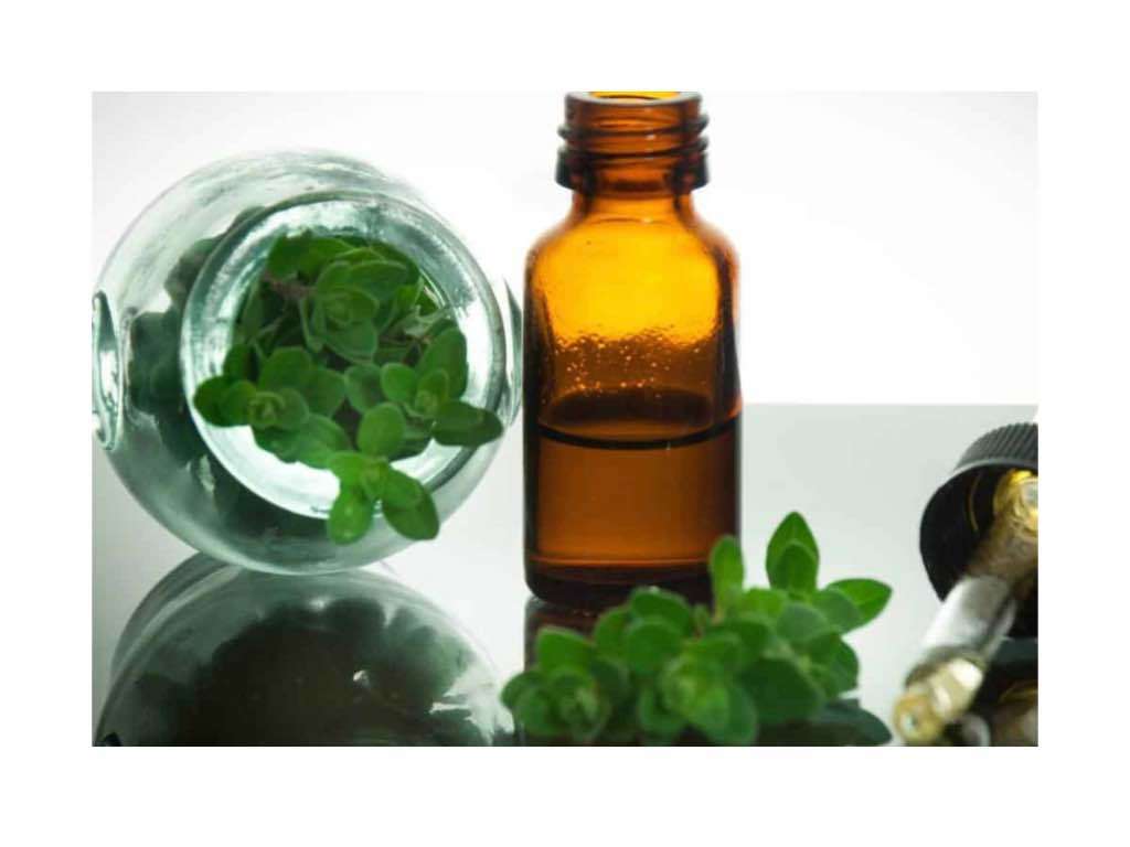 oregano oil anti aging