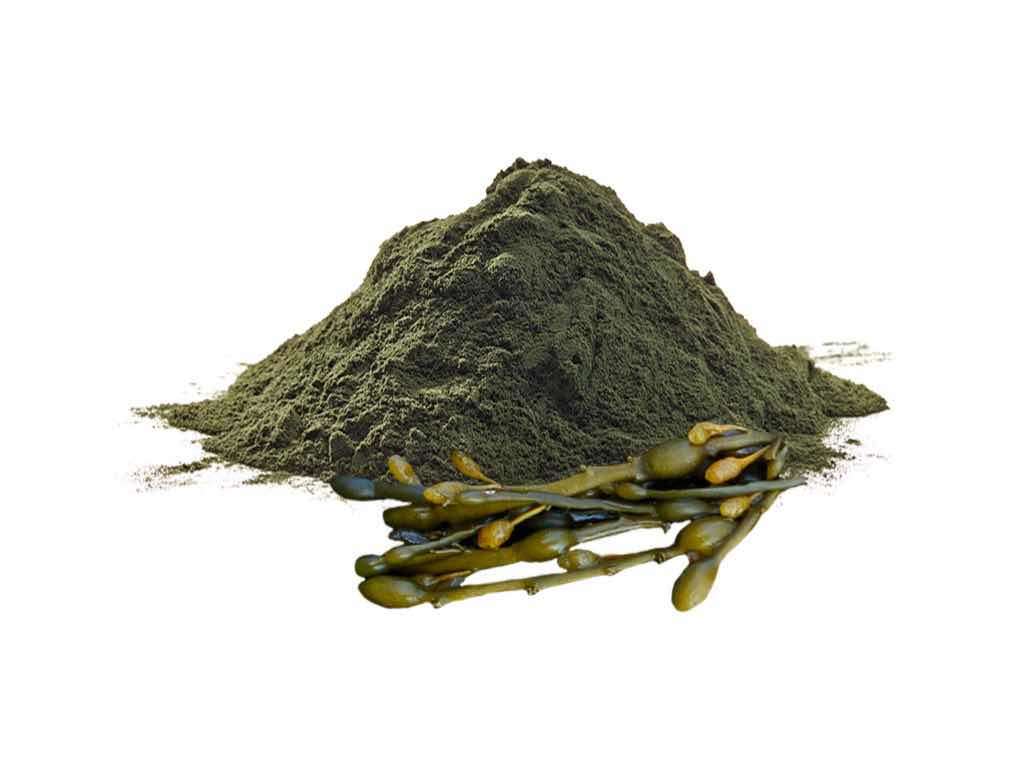 seaweed reducing cellulite on legs naturally