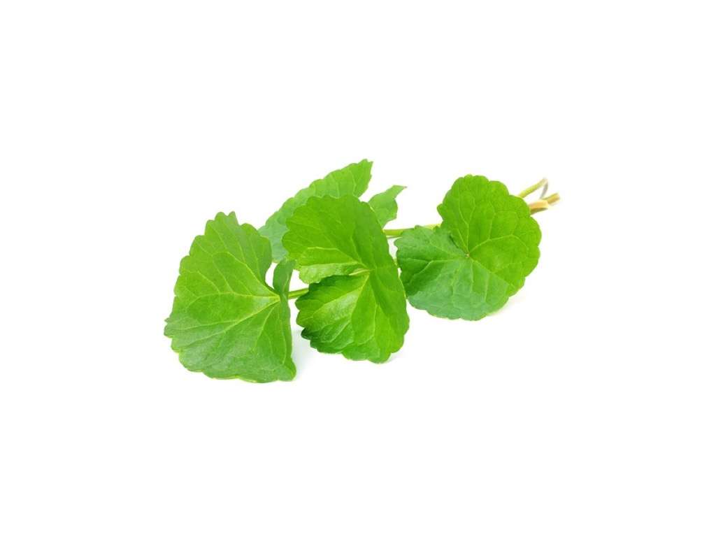 gotu kola to reduce cellulite naturally