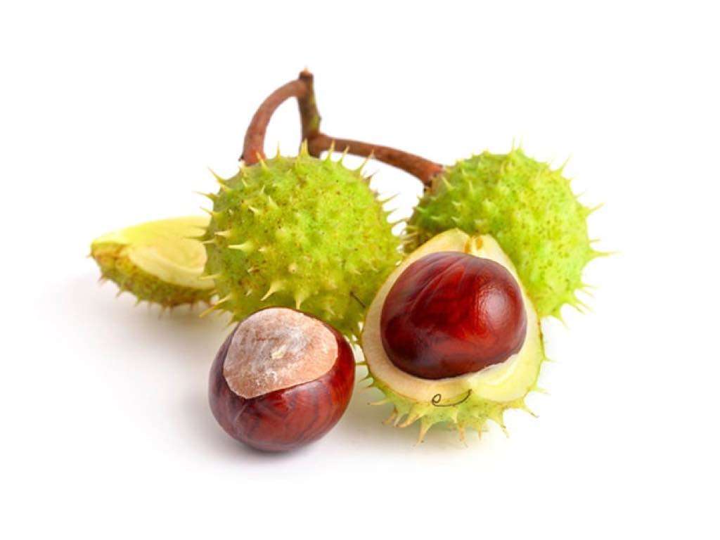 horse chestnut to reduce cellulite naturally