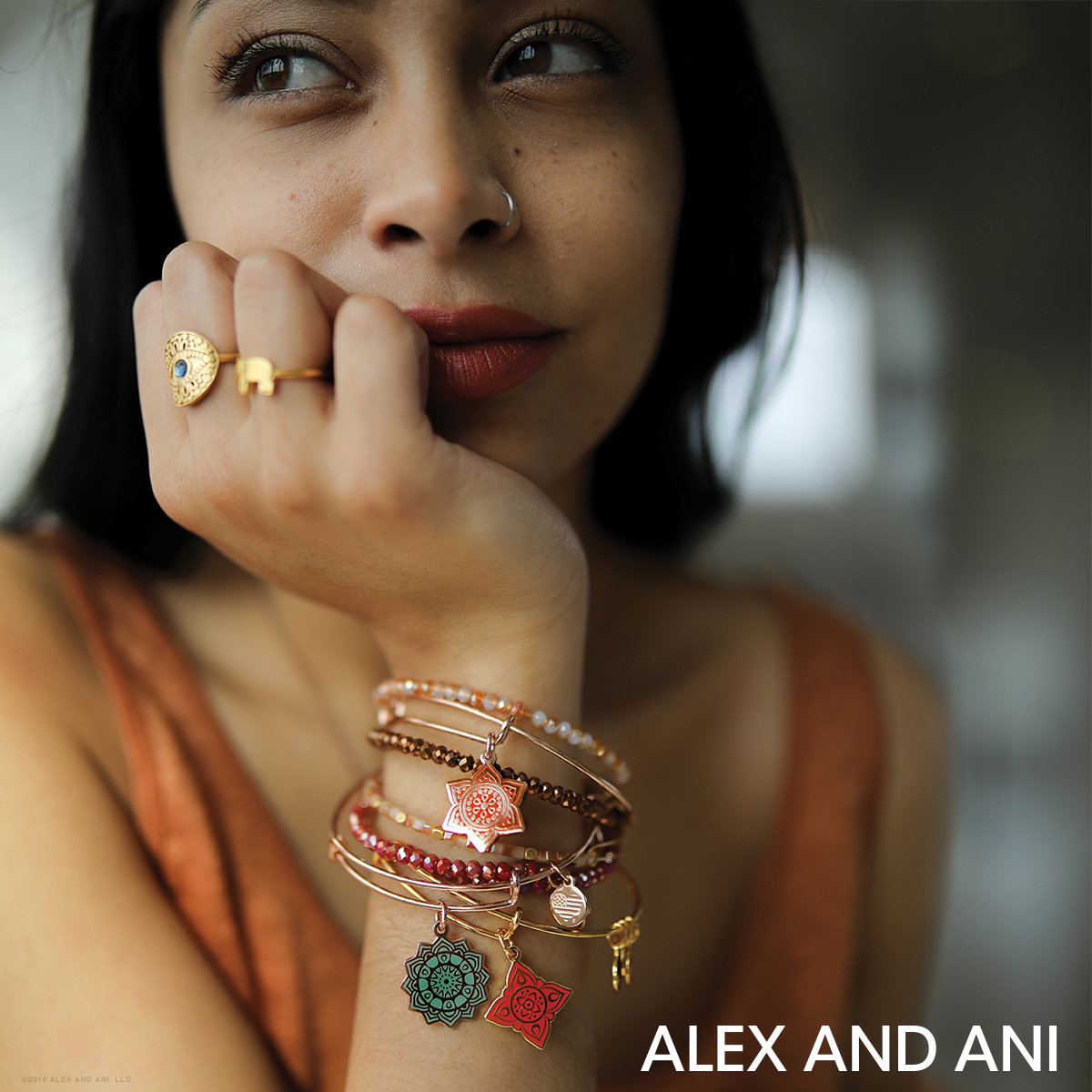 Colección Chakras Alex and Ani