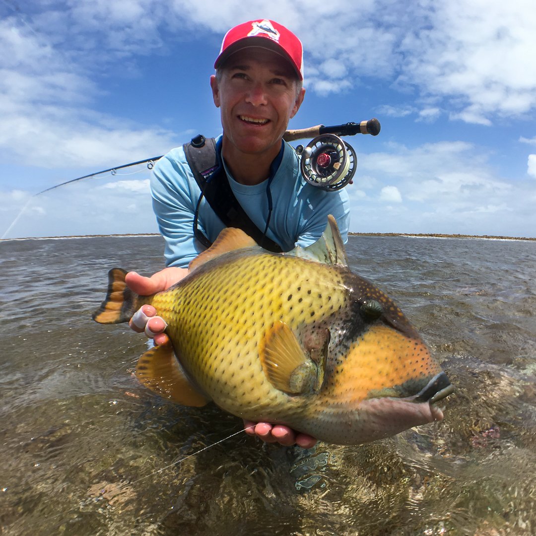 Triggerfish caught on the fly with Seigler Saltwater Fly Reel