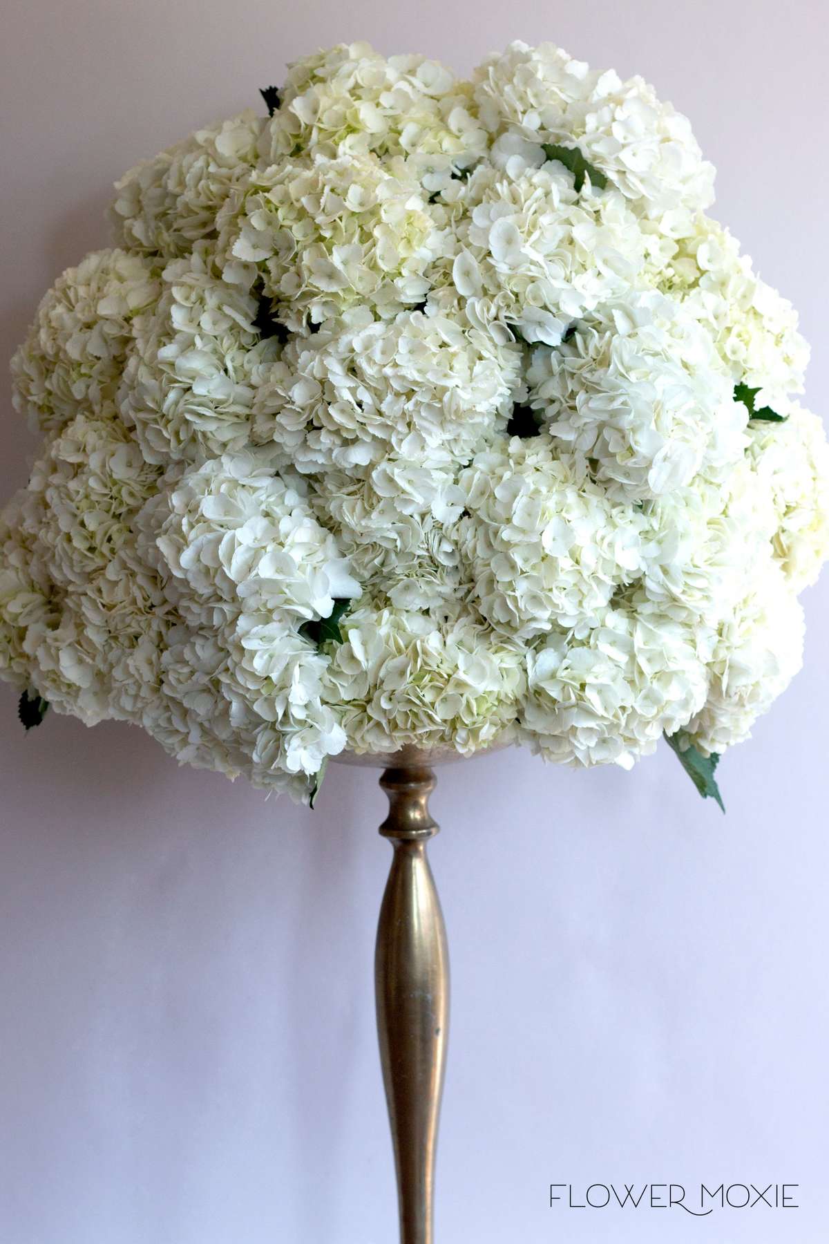 White ceremony flowers, hydrangea centerpiece, hydrangea bridal bouquet, large white bouquet, Flower Moxie, DIY wedding flowers White ceremony flowers, hydrangea centerpiece, hydrangea bridal bouquet, large white bouquet, Flower Moxie, DIY wedding flowers