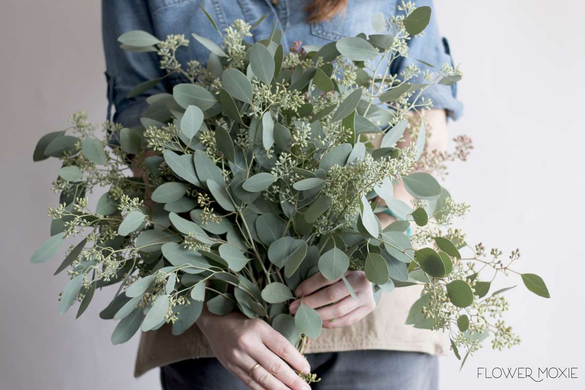 seeded eucalyptus, seeded eucalyptus bouquet, seeded eucalyptus wedding, flower moxie, moxie bride seeded eucalyptus, seeded eucalyptus bouquet, seeded eucalyptus wedding, flower moxie, moxie bride