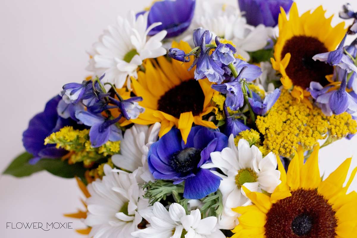 flower moxie, diy wedding flowers, indigo anemones, blue wedding flowers, navy flower, navy wedding flower, purple anenome flower moxie, diy wedding flowers, indigo anemones, blue wedding flowers, navy flower, navy wedding flower, purple anenome