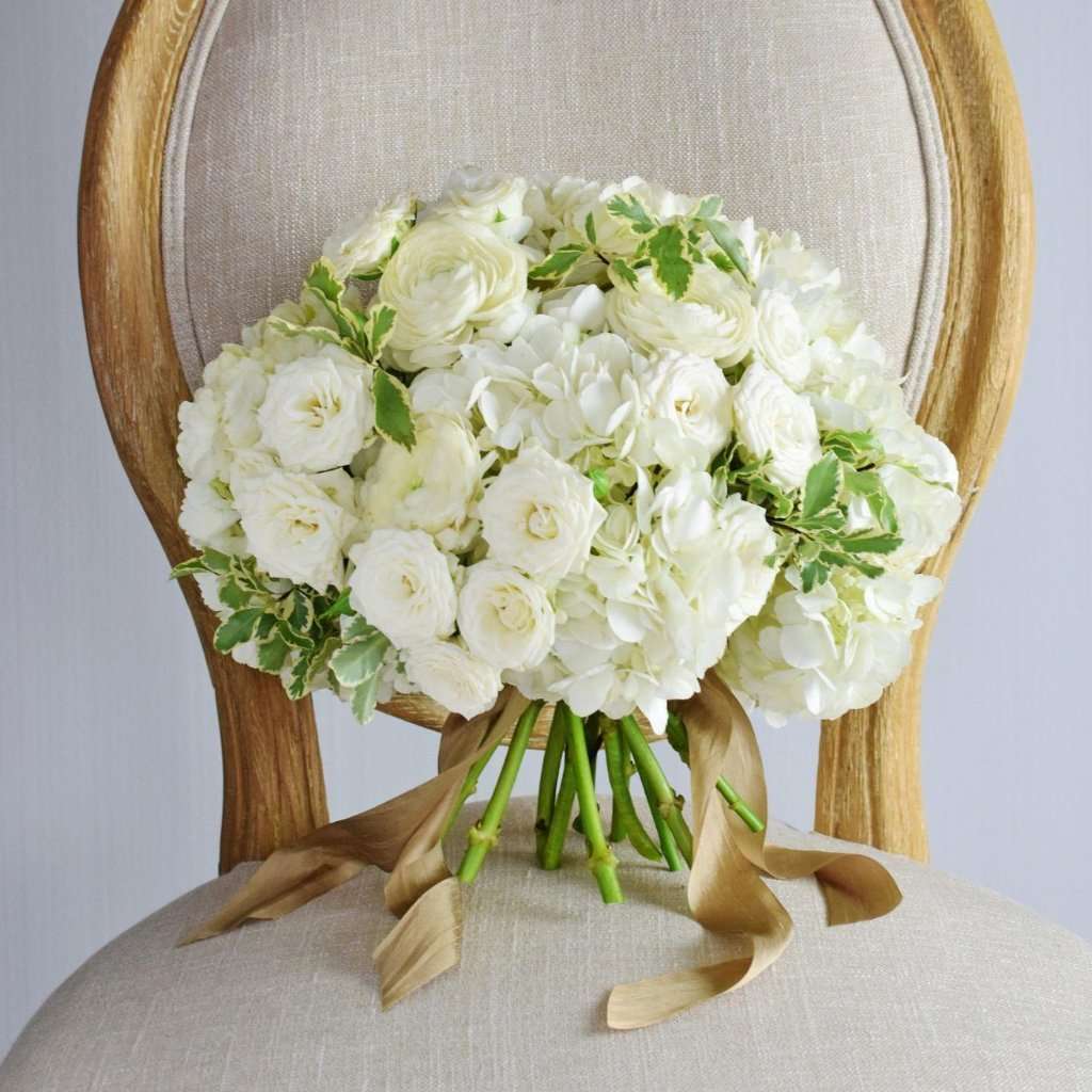 Silver queen pittosporum, variegated pitt, wedding greenery, ways to save money with wedding flowers, diy bride, diy flowers, diy bouquet, diy wedding, diy wedding ideas, flower moxie, what does a bikini rose look like, wedding ideas, make your own bouquet, make your own wedding bouquet, flower moxie Silver queen pittosporum, variegated pitt, wedding greenery, ways to save money with wedding flowers, diy bride, diy flowers, diy bouquet, diy wedding, diy wedding ideas, flower moxie, what does a bikini rose look like, wedding ideas, make your own bouquet, make your own wedding bouquet, flower moxie