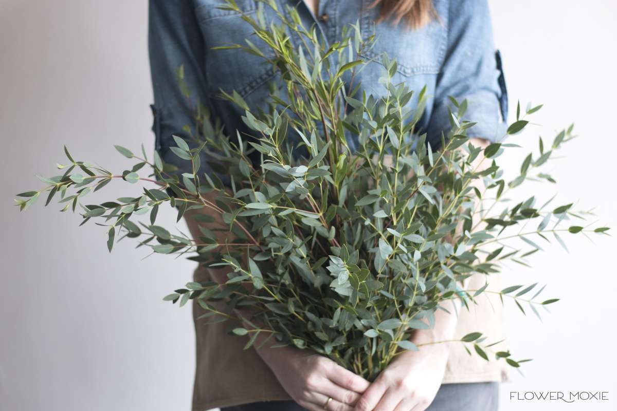 gunni eucalyptus, gunni, flower moxie, diy wedding flowers gunni eucalyptus, gunni, flower moxie, diy wedding flowers
