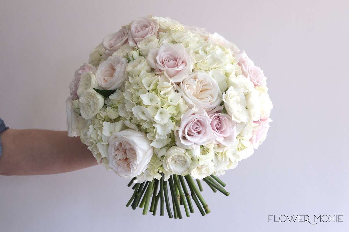 hydrangea bridal bouquet, large white bouquet, Flower Moxie, DIY wedding flowers hydrangea bridal bouquet, large white bouquet, Flower Moxie, DIY wedding flowers