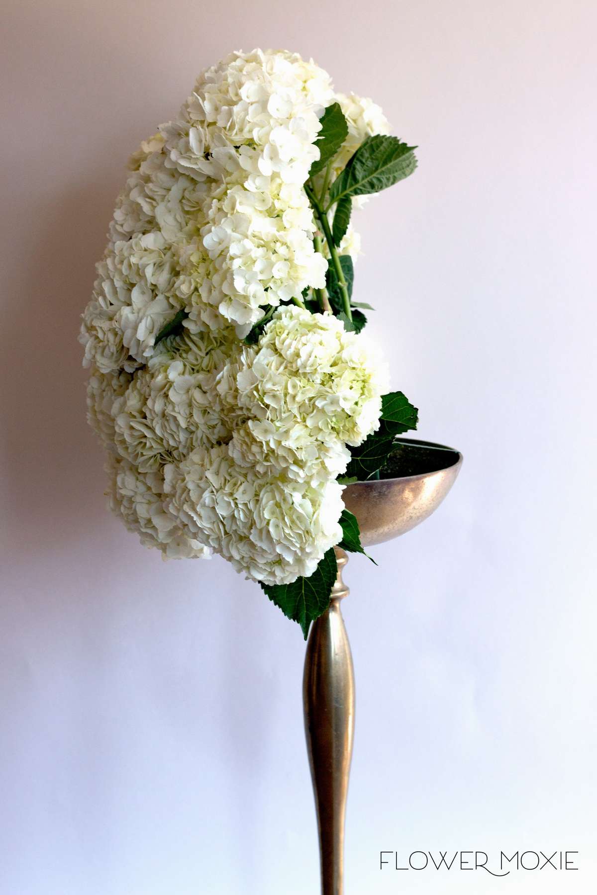 White ceremony flowers, hydrangea centerpiece, hydrangea bridal bouquet, large white bouquet, Flower Moxie, DIY wedding flowers White ceremony flowers, hydrangea centerpiece, hydrangea bridal bouquet, large white bouquet, Flower Moxie, DIY wedding flowers