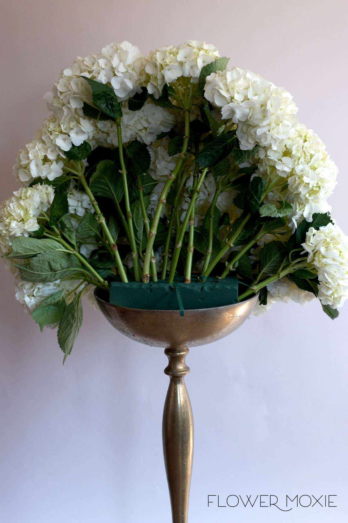 White ceremony flowers, hydrangea centerpiece, hydrangea bridal bouquet, large white bouquet, Flower Moxie, DIY wedding flowers White ceremony flowers, hydrangea centerpiece, hydrangea bridal bouquet, large white bouquet, Flower Moxie, DIY wedding flowers
