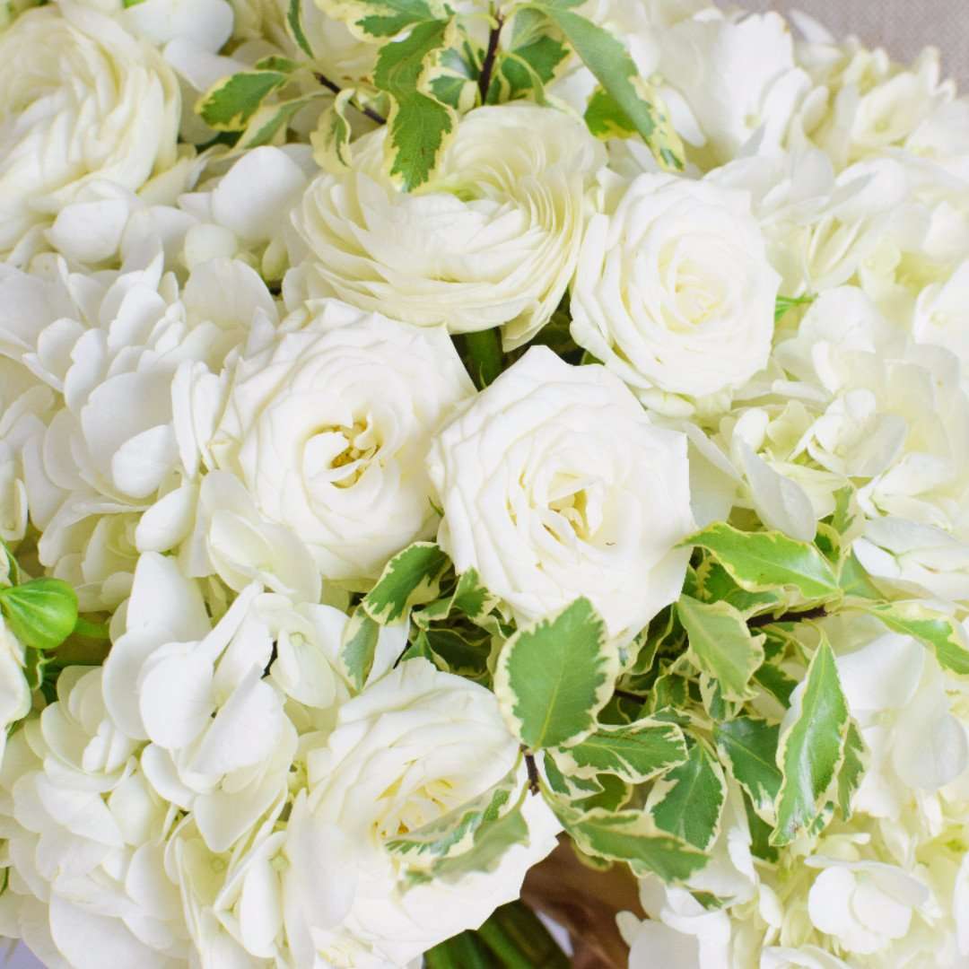 White Hydrangea Bridal Bouquet — Flower Moxie