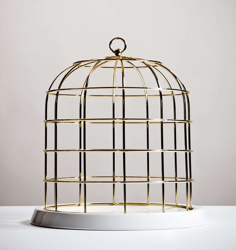 gold birdcage gold birdcage