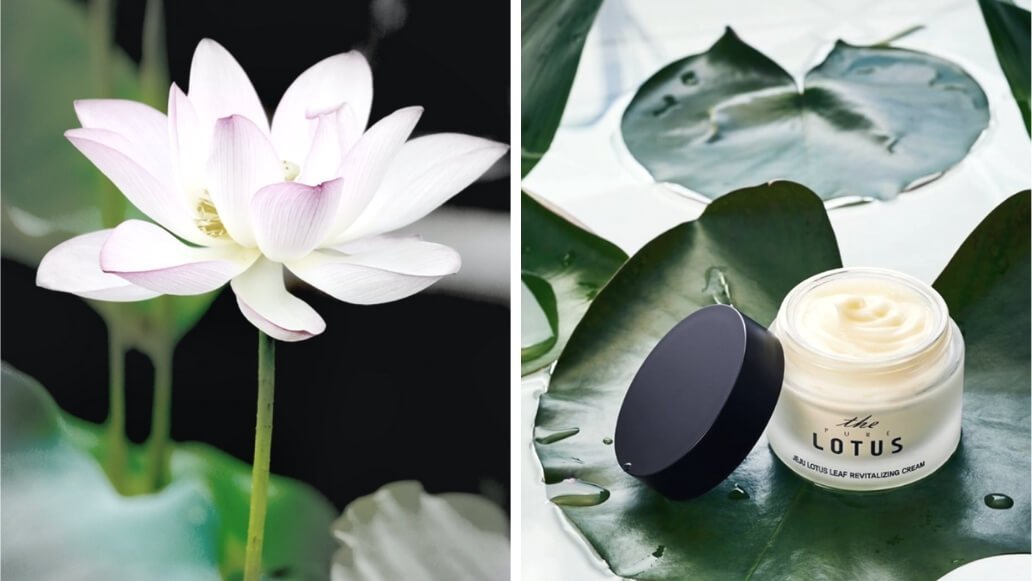 The Lotus Produkte bei Shishi Chérie