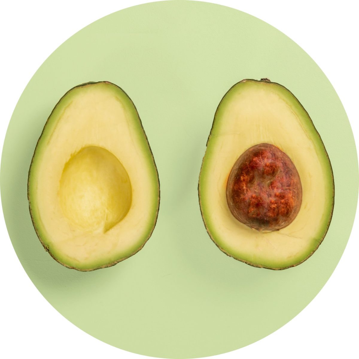 natural, organic avocado oil ingredient in Source Vital products