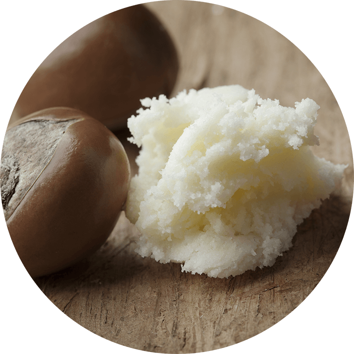 natural, sustainable harvested shea butter ingredient