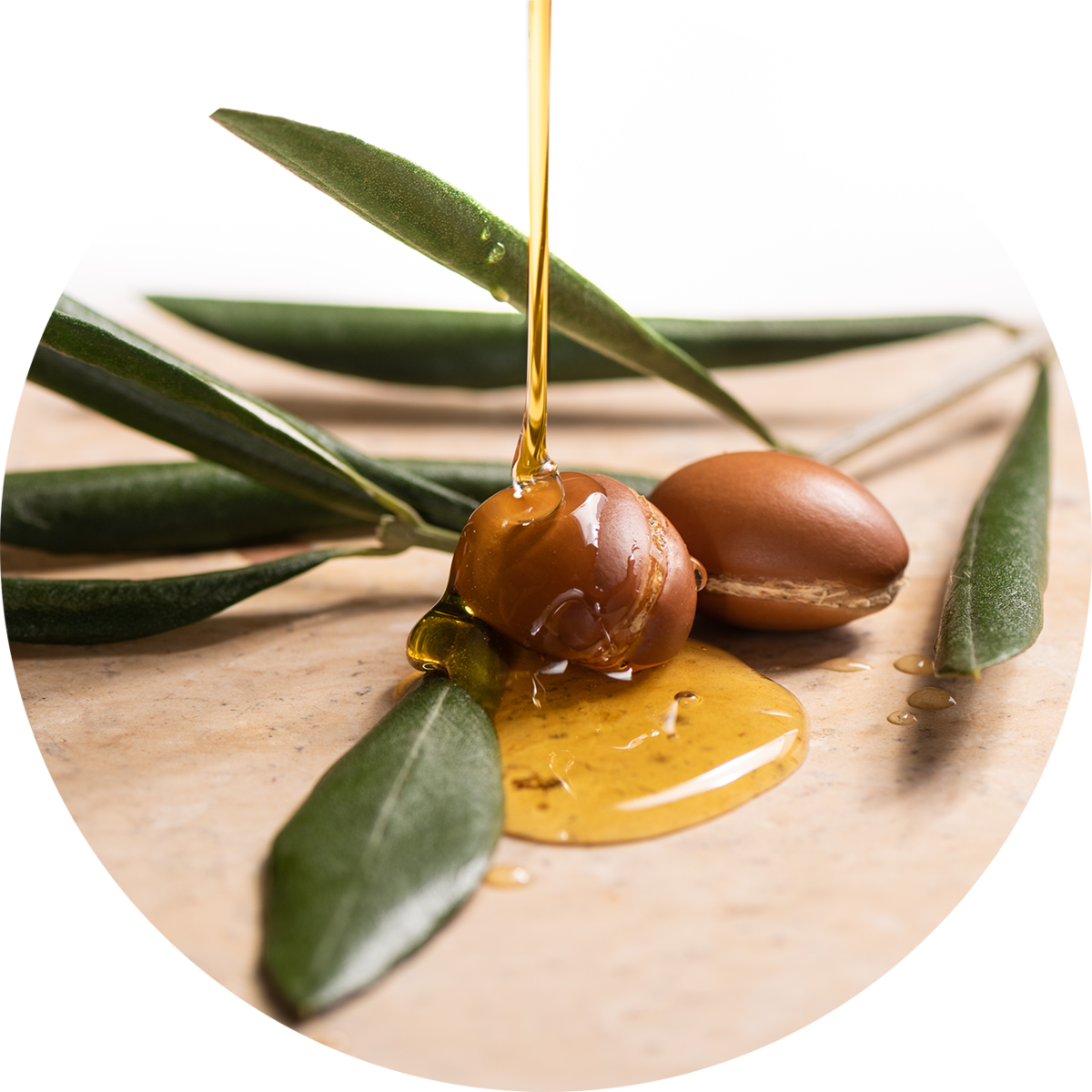natural, organic argan oil ingredient in Source Vital products