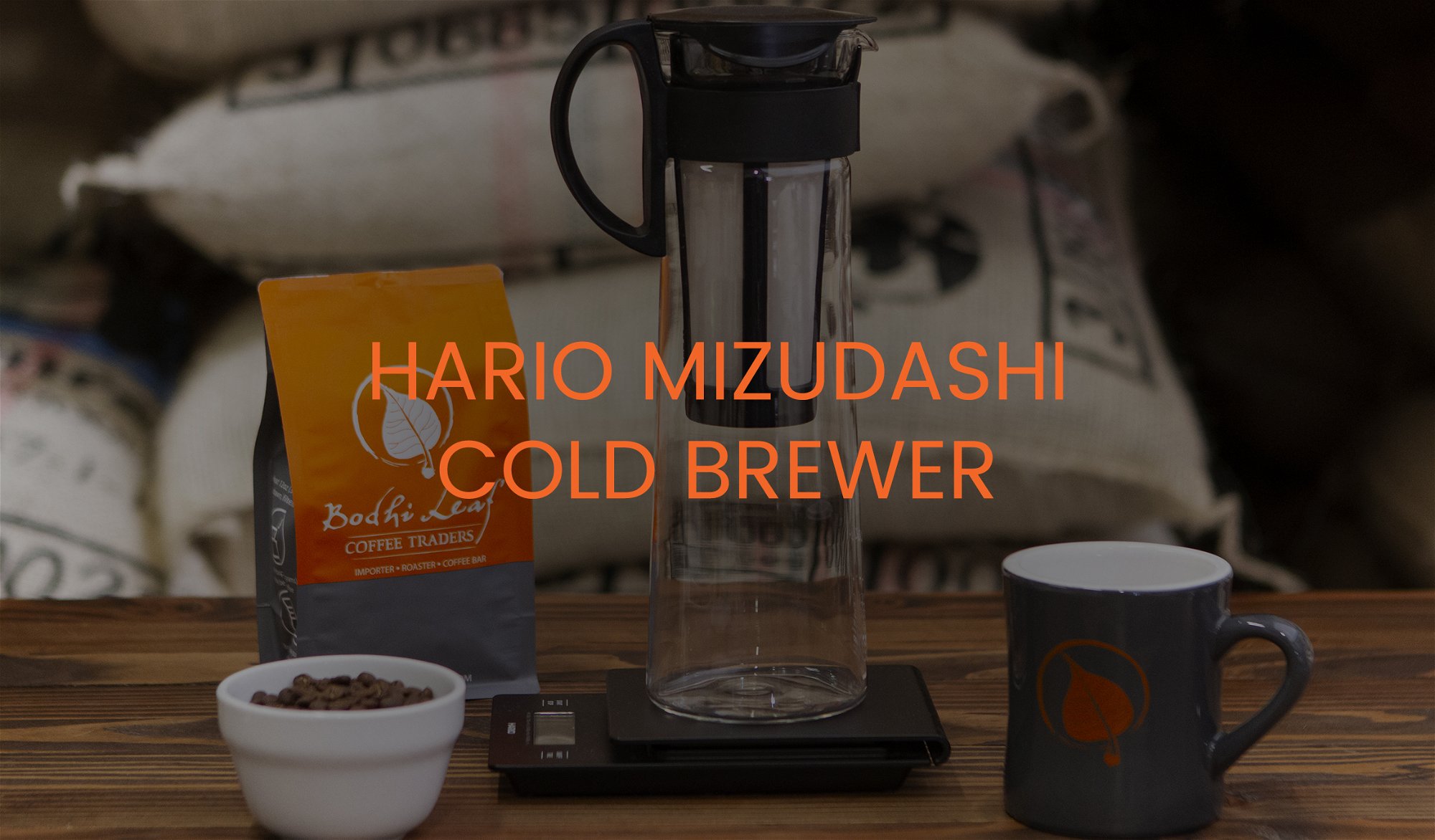 HARIO MIZUDASHI COLD BREWER
