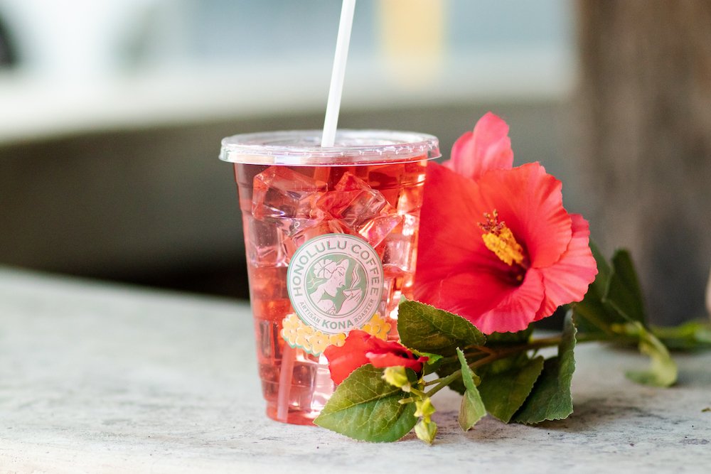 The Hibiscus Spritzer in a to go cup