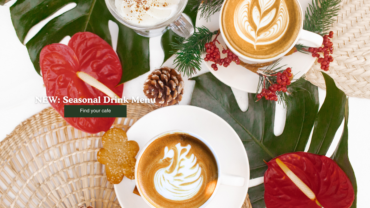 New holiday seasonal drinks: gingerbread latte, white peppermint mocha, hot chocolate