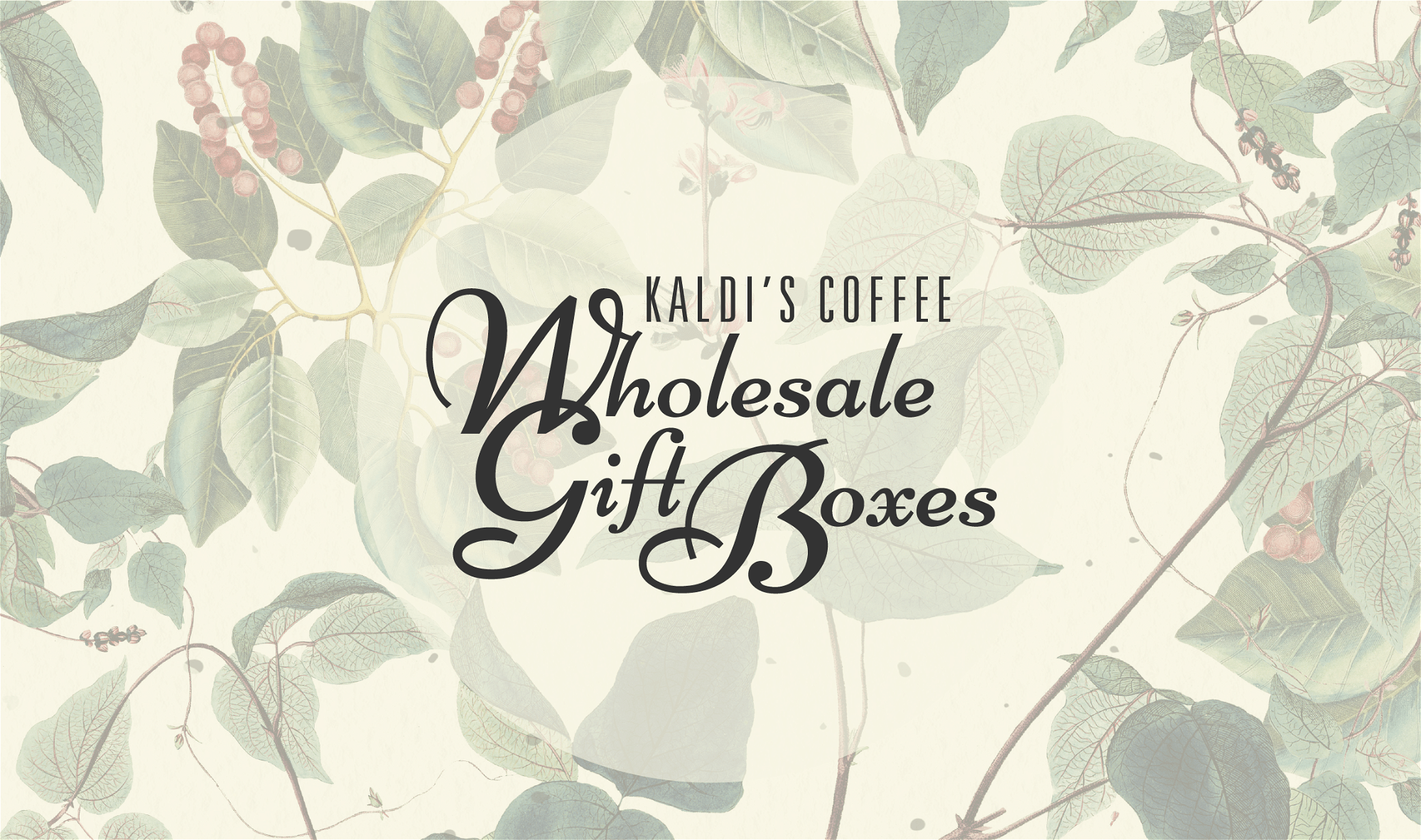 Kaldi's Coffee Wholesale Gift Boxes in St. Louis, Missouri