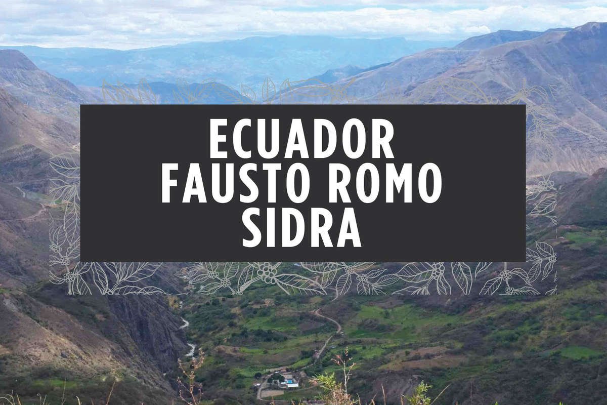 Ecuador Fausto Romo Sidra