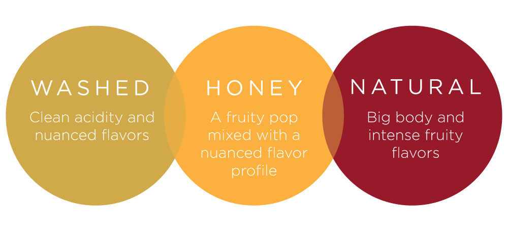 Washed coffee offers clean acidity, honey coffee offers a little fruitiness, and natural coffees offer big body and fruity flavors