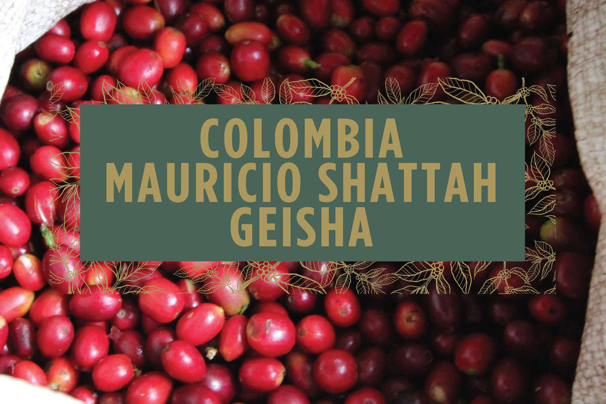 Colombia Mauricio Shattah Geisha