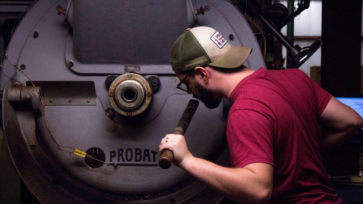 A Roaster checking on roasted coffee