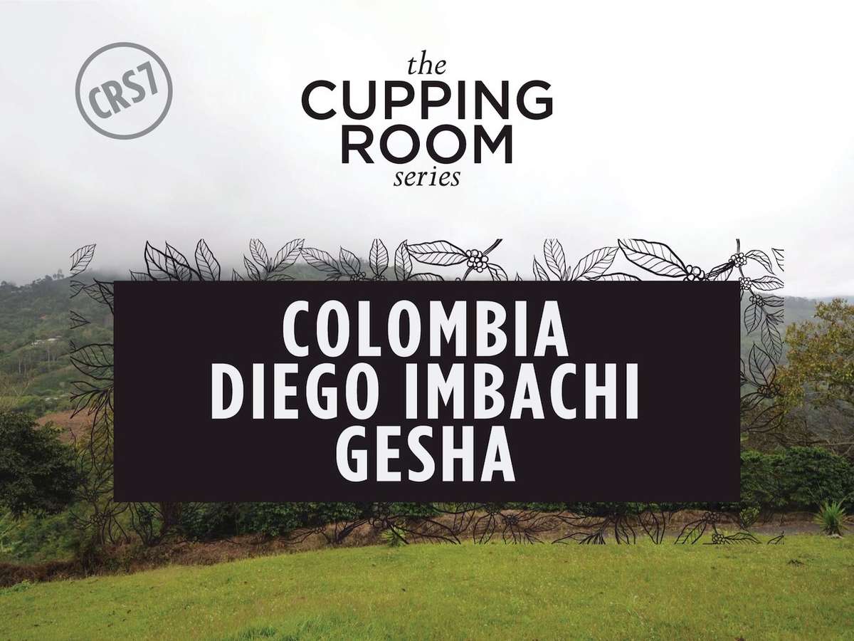 Colombia Carlos Imbachi Geisha