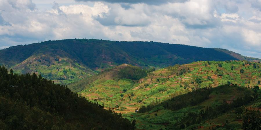 The hills of the Colombia Monserrate coffee community