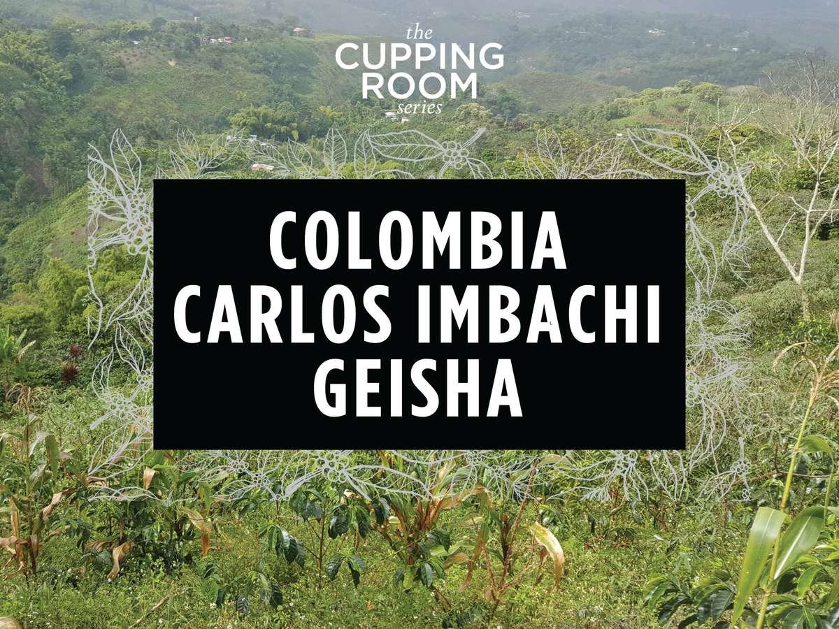 Colombia Carlos Imbachi Geisha