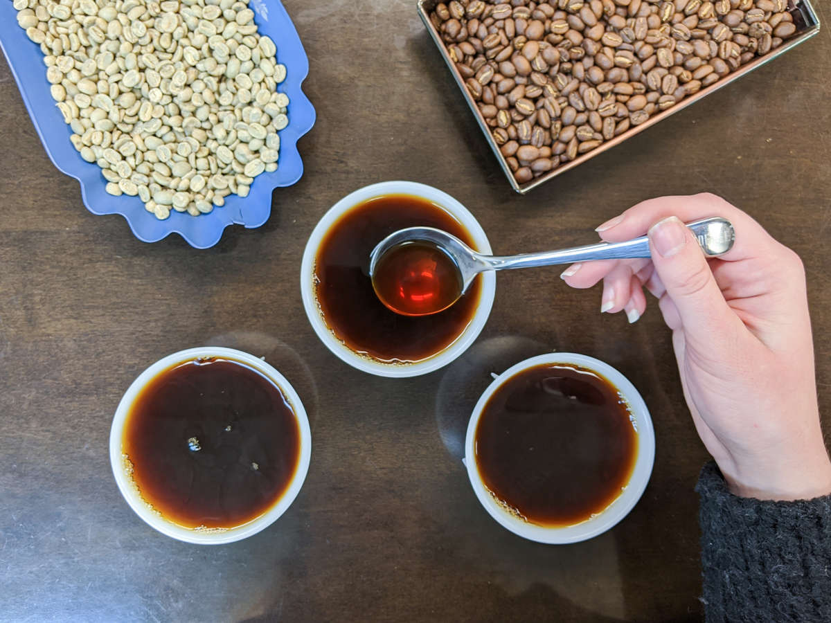 Cupping Fresh Roasted Coffee in our Cupping Room in St. Louis, MO