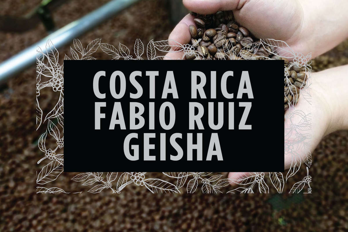 Costa Rica Fabio Ruiz Geisha