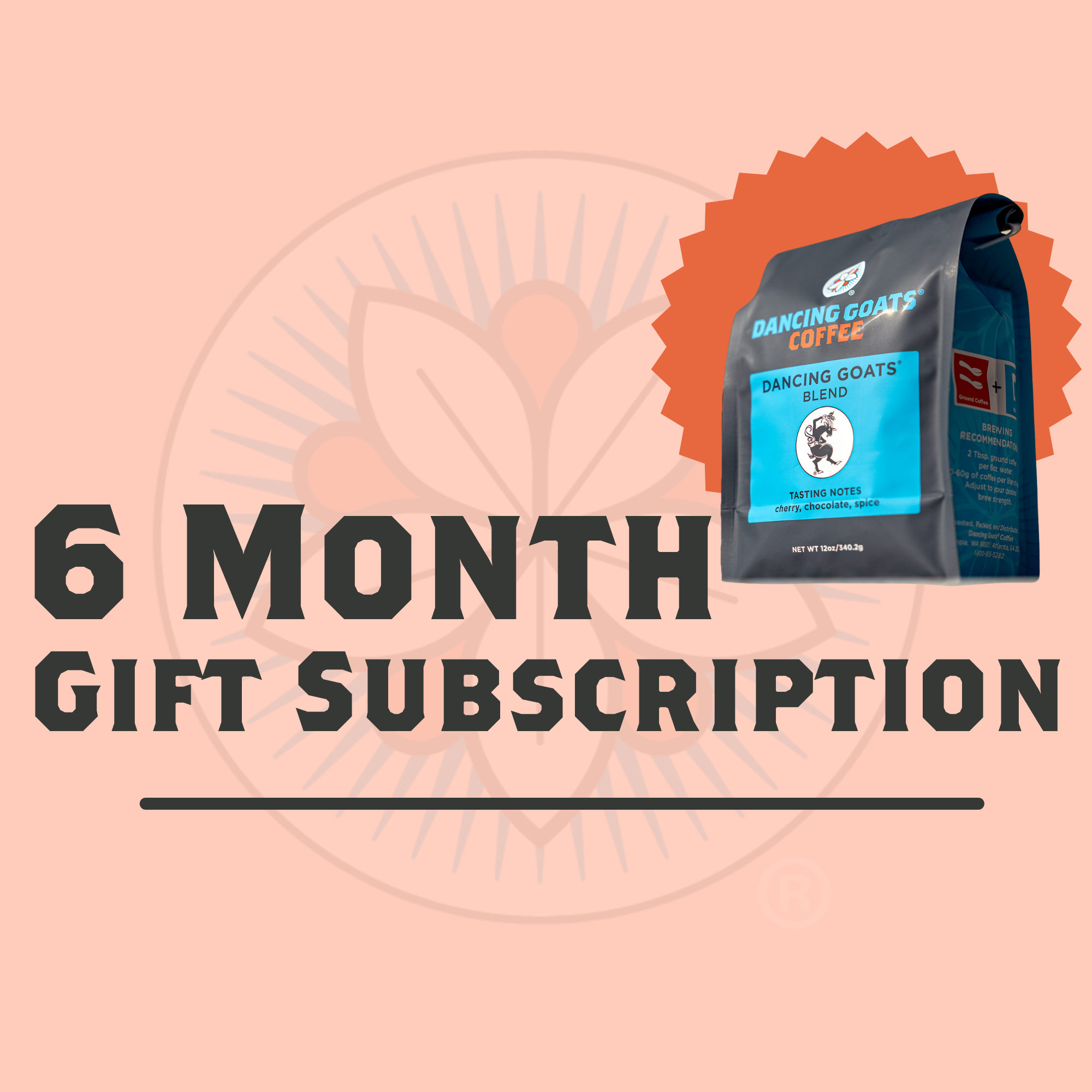 6 month gift subscription image