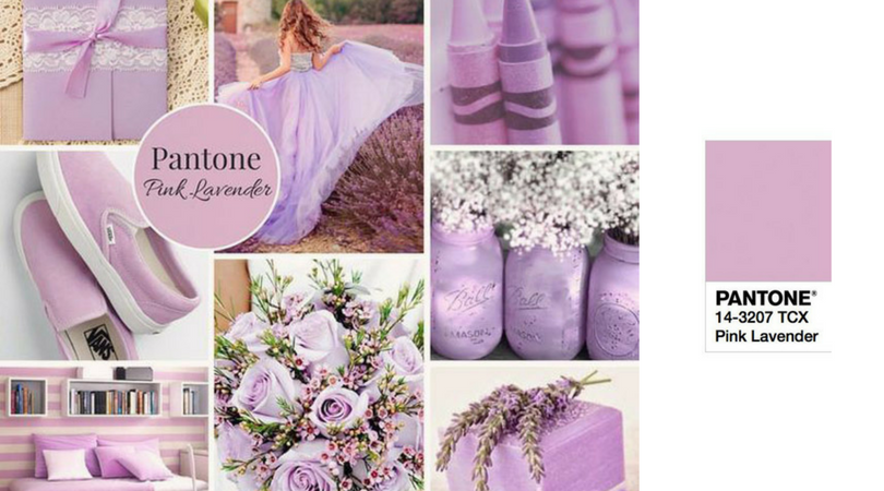 pink lavender pink lavender