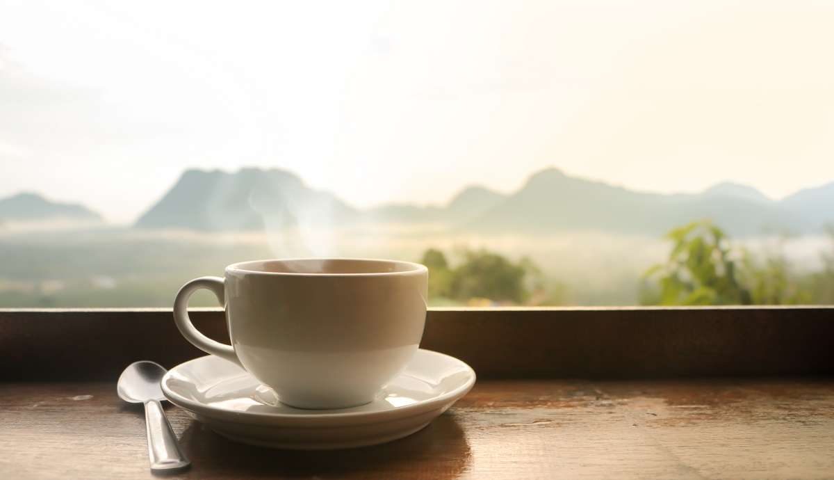 Genieße die Vorteile des Explore The World Coffee - Kaffee Abo. Somit hast du immer deinen leckeren Kaffee bei dir zu hause, egal ob Vietnam, Kolumbien oder Ruanda, alles ist möglich in deinem Leben. Genieße die Vorteile des Explore The World Coffee - Kaffee Abo. Somit hast du immer deinen leckeren Kaffee bei dir zu hause, egal ob Vietnam, Kolumbien oder Ruanda, alles ist möglich in deinem Leben.