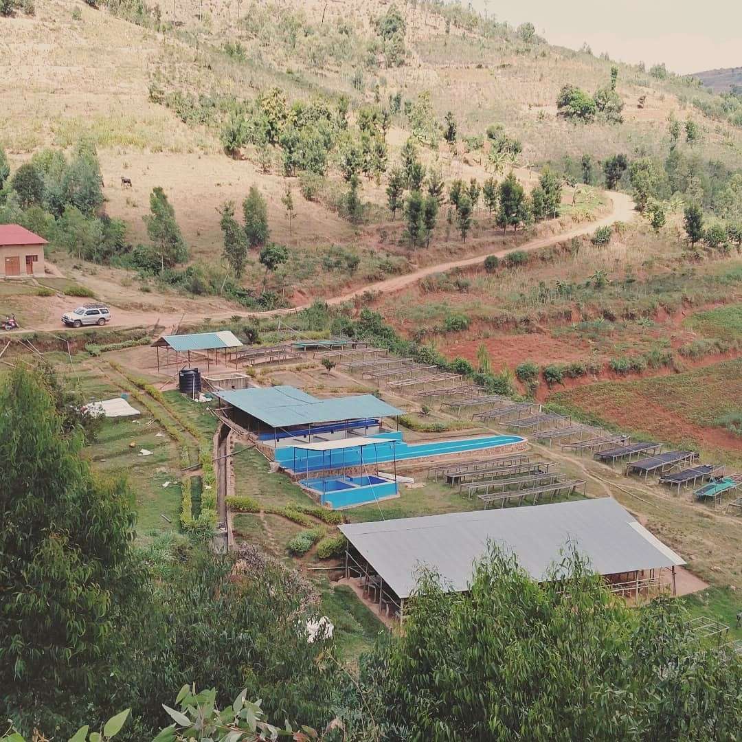 Kaffee Washing Station in Ruanda. Kaffee Washing Station in Ruanda.