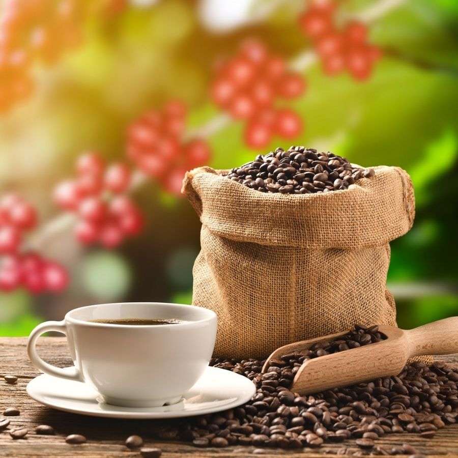 Röstkaffee aus Mexiko. Frisch geröstete mexikanische Kaffeebohnen. Röstkaffee aus Mexiko. Frisch geröstete mexikanische Kaffeebohnen.