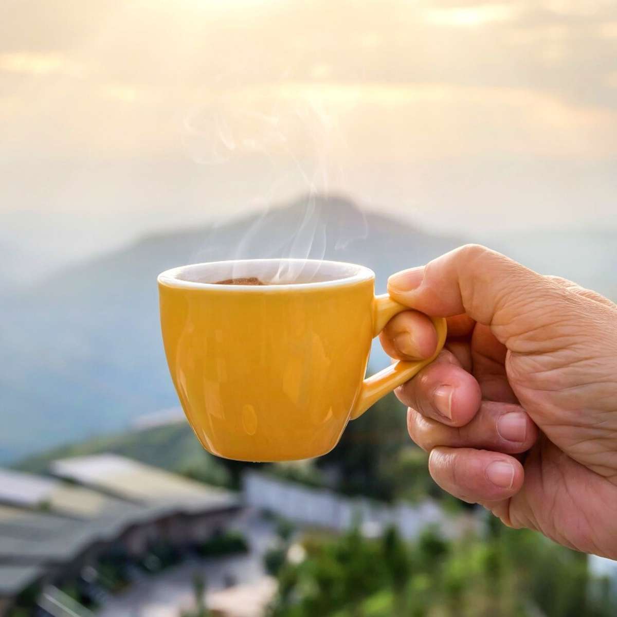 Röstkaffee aus Kolumbien. Röstkaffee aus Kolumbien.