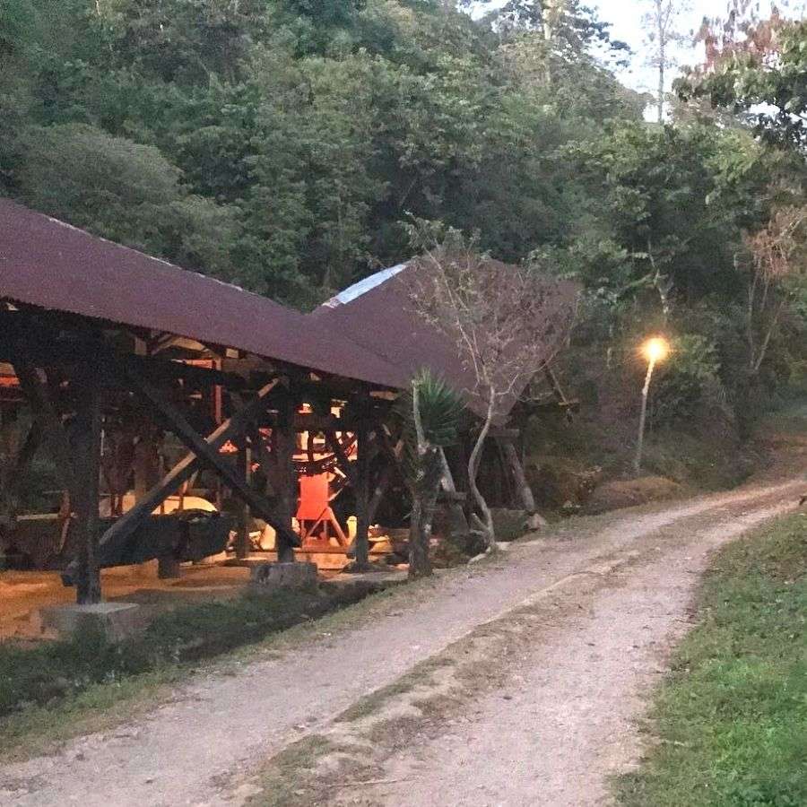 Frischer Bohnenkaffee, frisch geröstet von der Finca Sonora in Mexiko. Frischer Bohnenkaffee, frisch geröstet von der Finca Sonora in Mexiko.