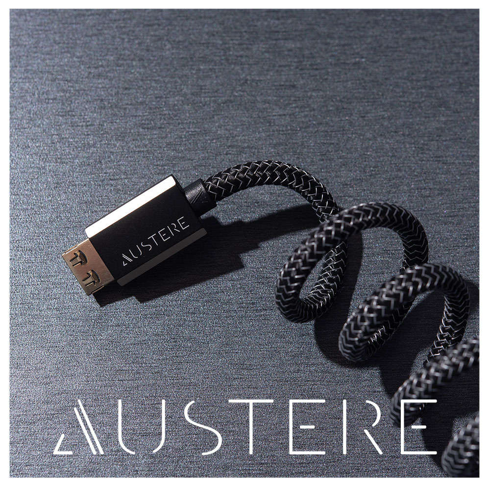 Austere Interconnect and speaker cables