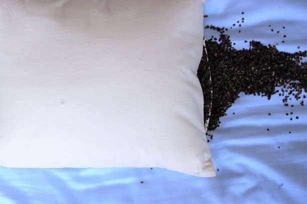 How to use a Buckwheat Pillow: Back Sleepers 